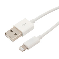 iPhone Regular Lightning 6ft Cable